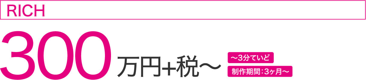 300万円+税~