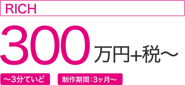 300万円+税~