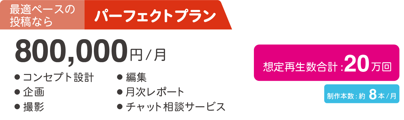 運用コンサルティング  パーフェクトプラン 80万/月