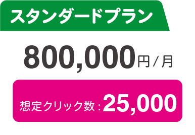 広告料金 スタンダートプラン 80万/月