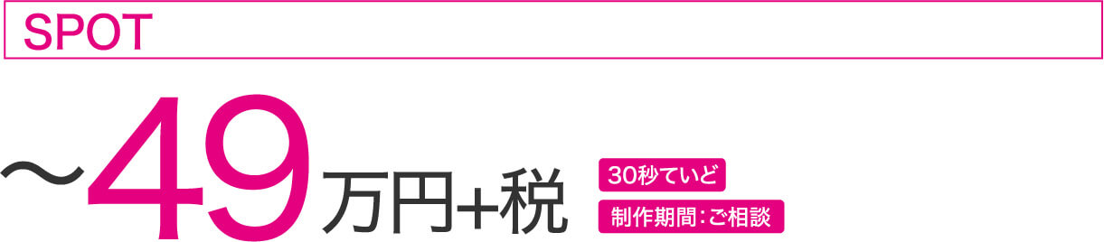 ~49万円+税