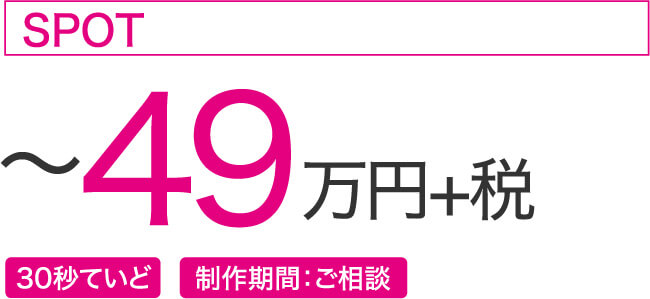 ~49万円+税